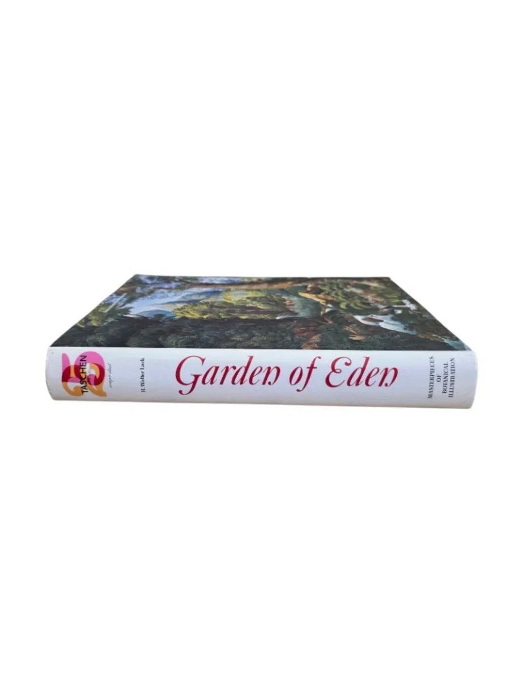 N/A description garden
